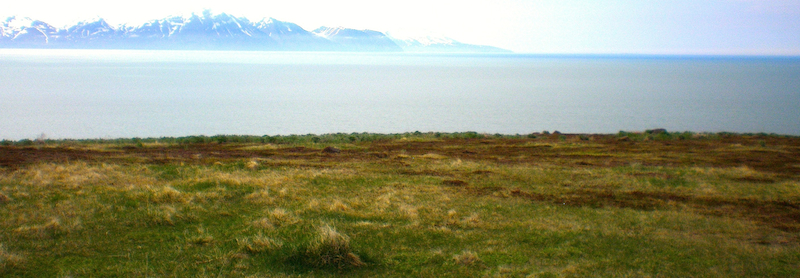 wild Icelandic Lonkot 03